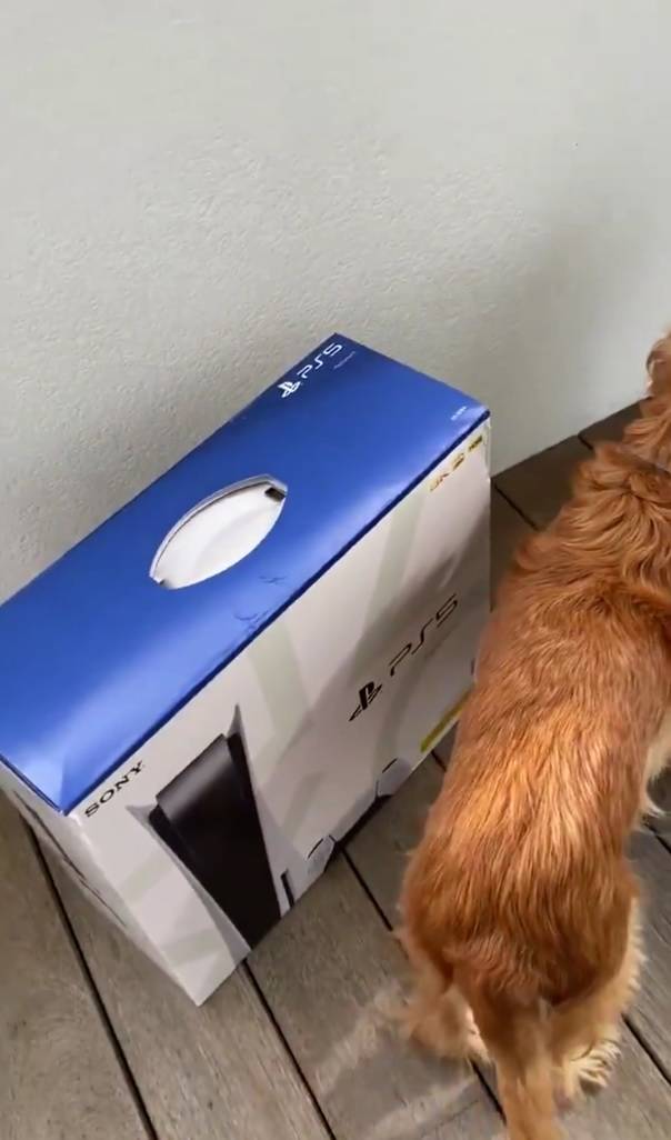 playstation 5, tamaño, hogar